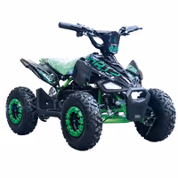 Cuatrimoto Eléctrica Evobike Ricochet - Verde