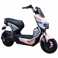 Bicicleta Eléctica Evobike Aguila Pro 60V Rosada