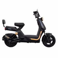 Bicicleta Eléctrica Evobike Eclipce 72V - Gris